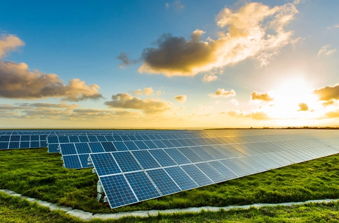 why-choose-img-1 (1)